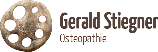 Gerald Stiegner Retina Logo